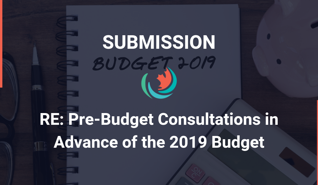 Submission for the Pre-Budget Consultations in Advance of the 2019 Budget