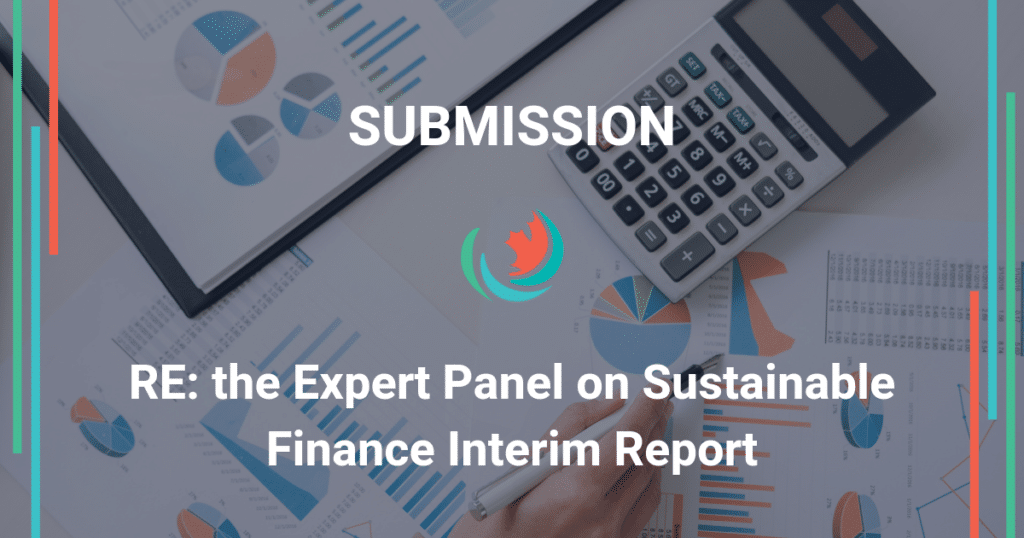 Comments on the Expert Panel on Sustainable Finance Interim Report