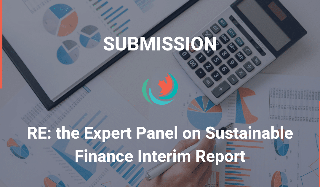 Comments on the Expert Panel on Sustainable Finance Interim Report