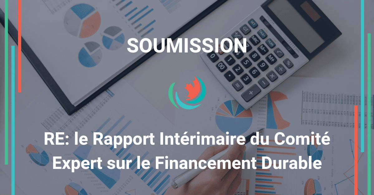Commentaires sur le rapport intérimaire du comité expert sur la finance durable