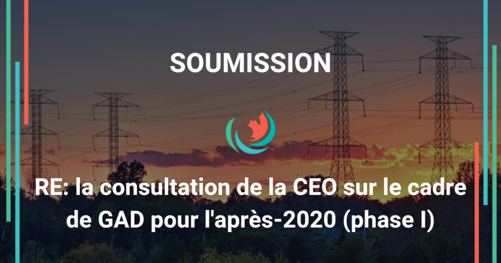 Soumission conjointe à la consultation de la CEO sur le cadre de GAD pour après-2020 (phase I)
