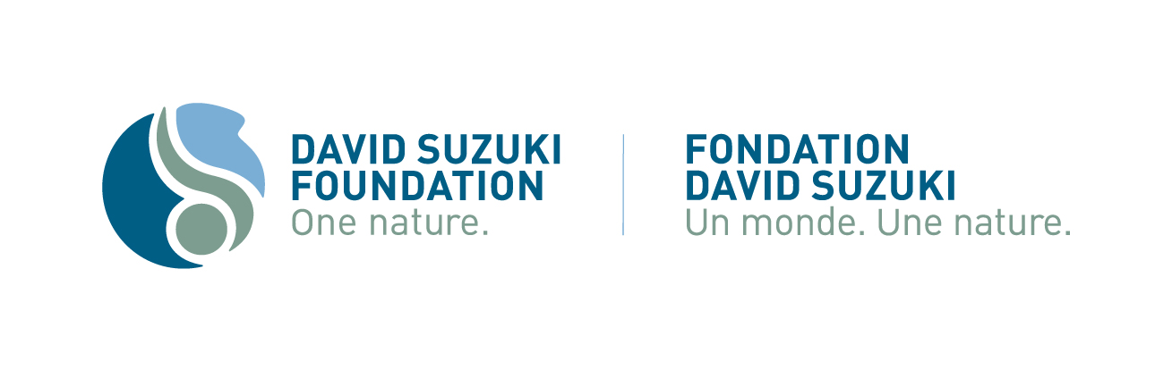 David Suzuki Foundation