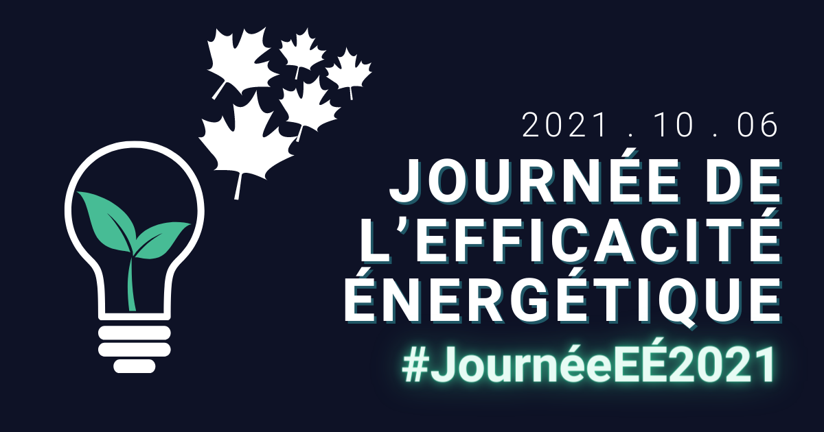 Bulb Energy Efficiency Day