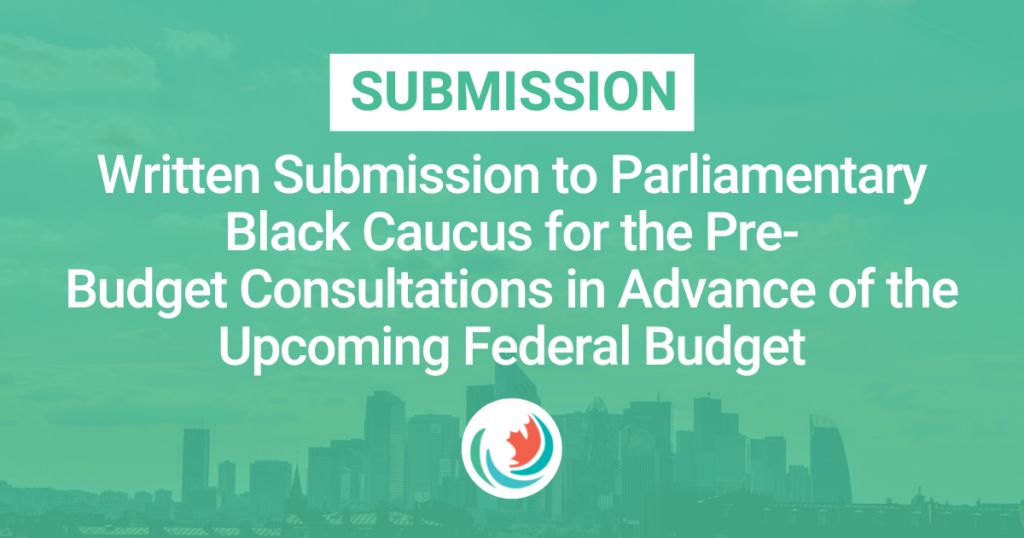 Written Submission to the Parliamentary Black Caucus