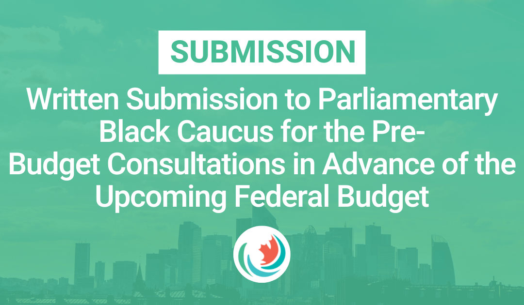 Written Submission to the Parliamentary Black Caucus