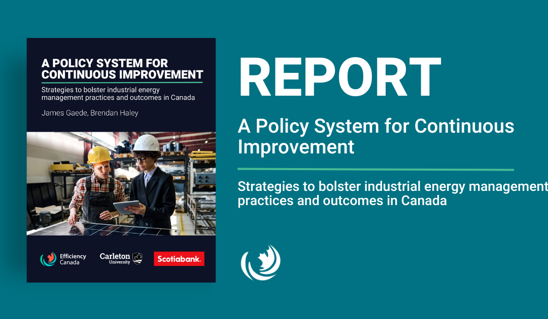 Download A Policy System for Continuous Improvement