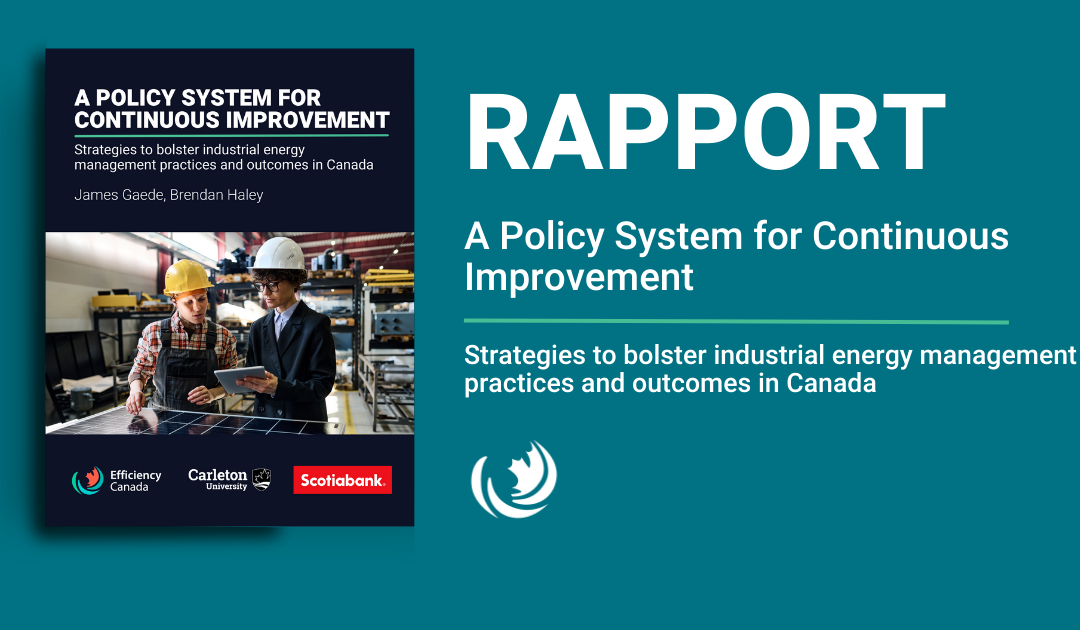 A Policy System for Continuous Improvement