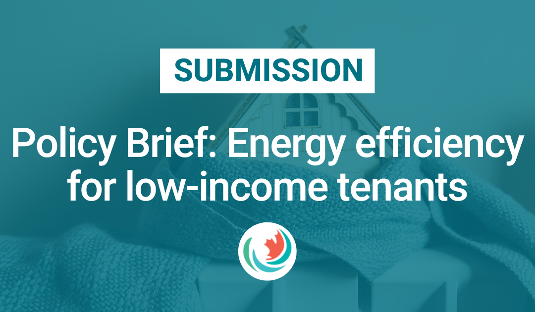 Policy Brief: Energy efficiency for low-income tenants