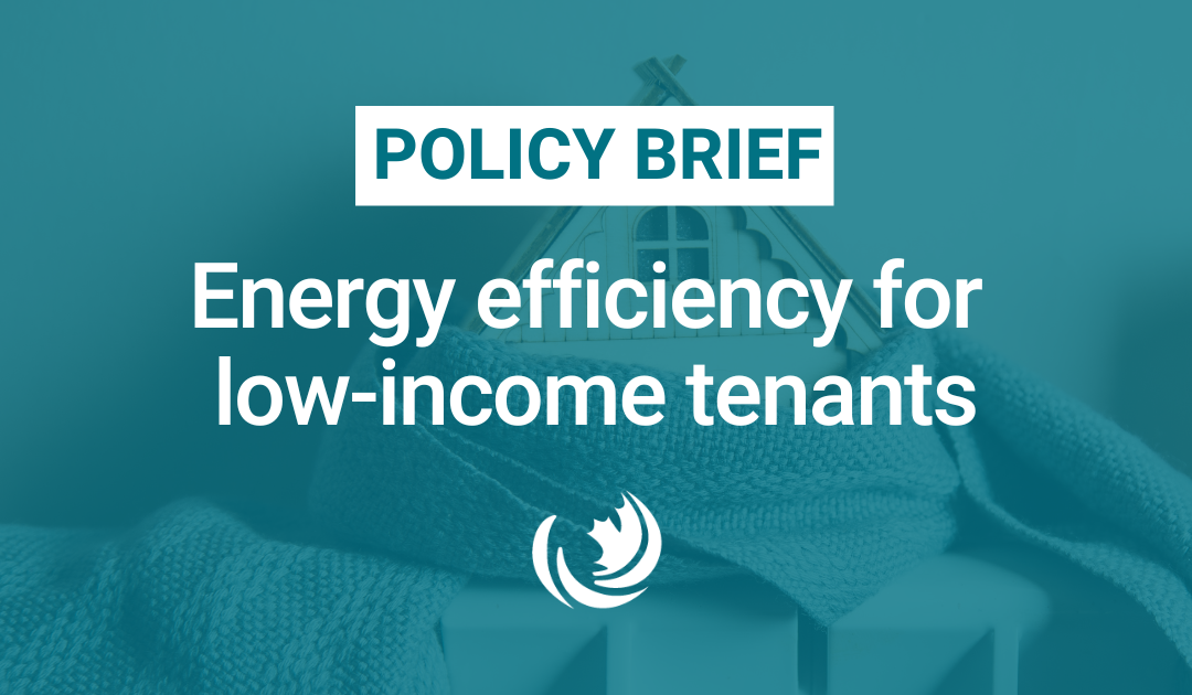 Policy Brief: Energy efficiency for low-income tenants