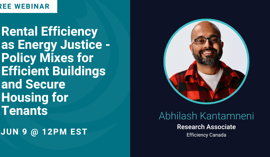 Rental Efficiency as Energy Justice – Policy Mixes for Efficient Buildings and Secure Housing for Tenants