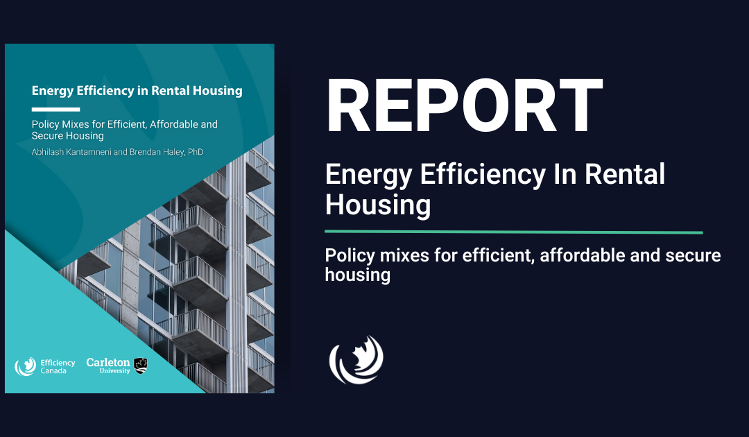 Download Energy Efficiency In Rental Housing