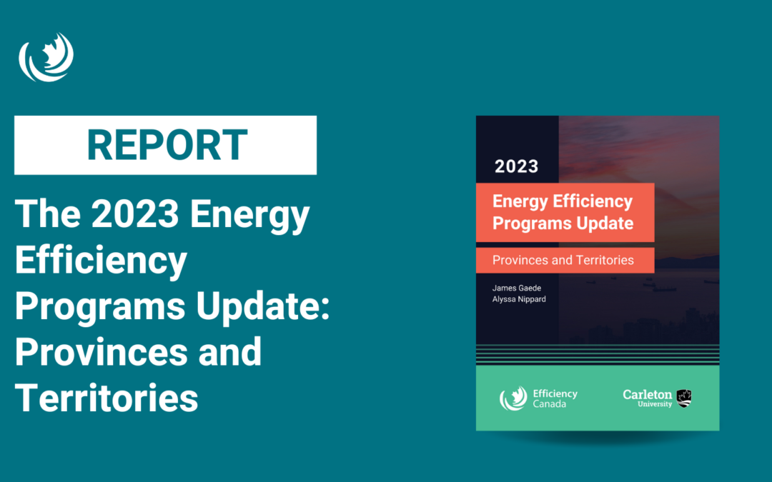 Thank you for downloading the 2023 Energy Efficiency Programs Update