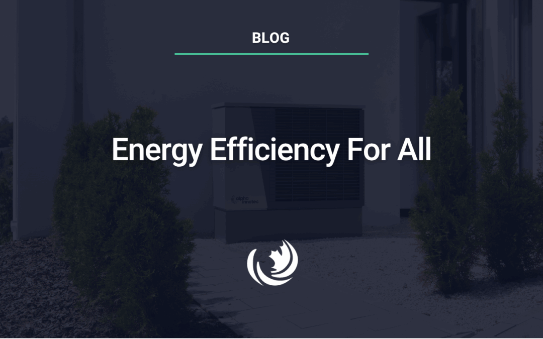 Energy Efficiency For All