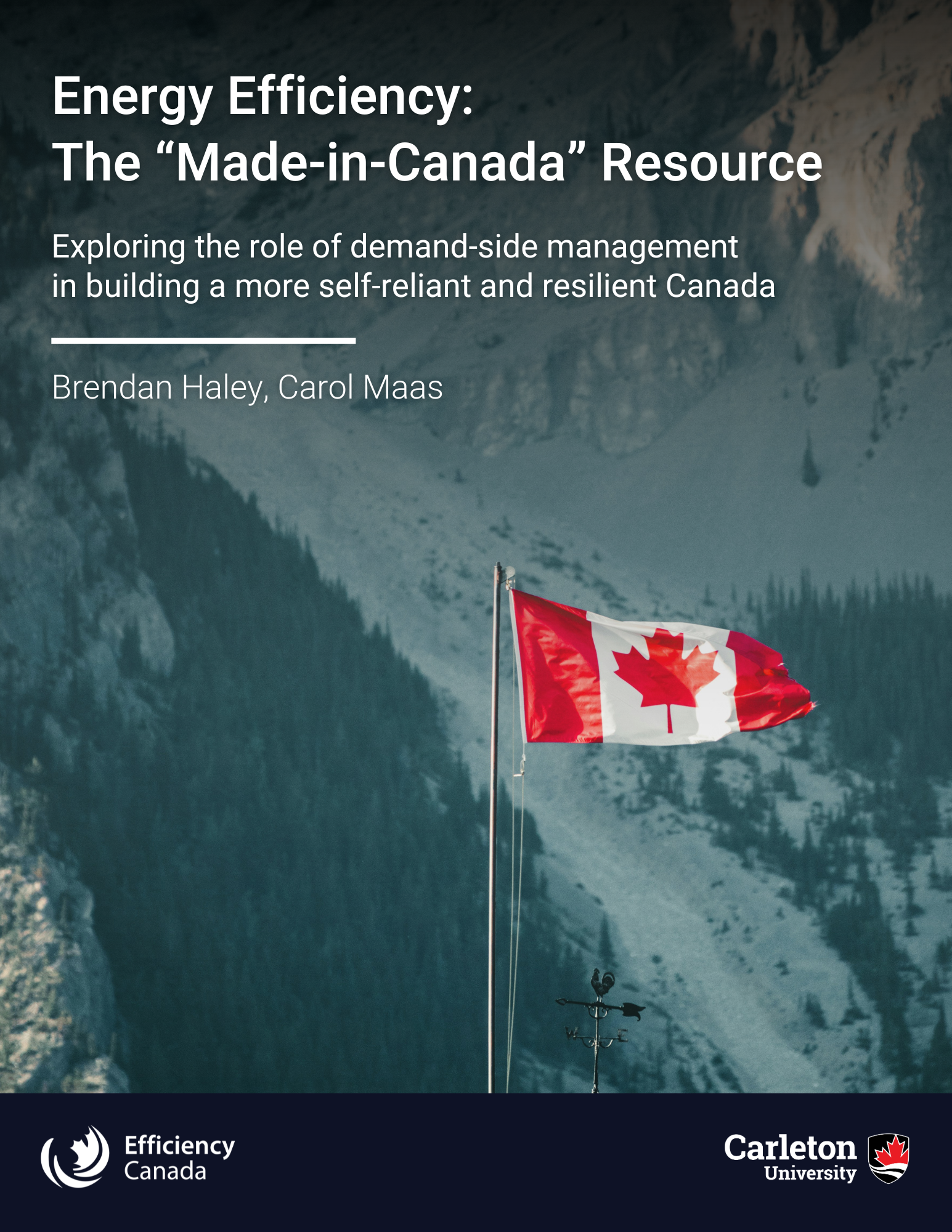 Energy poverty, housing, and vulnerability in Canada