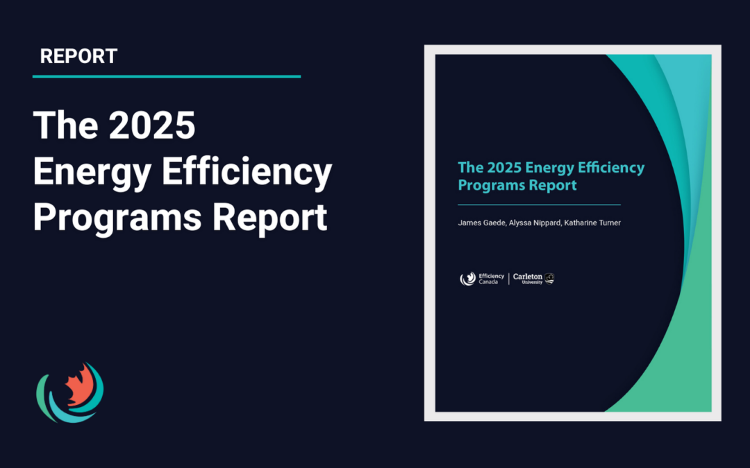The 2025 Energy Efficiency Programs Report
